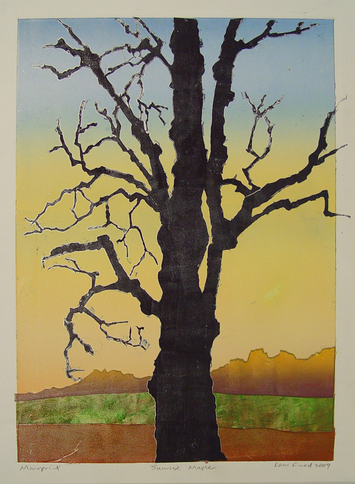 sunrise maple tree art print